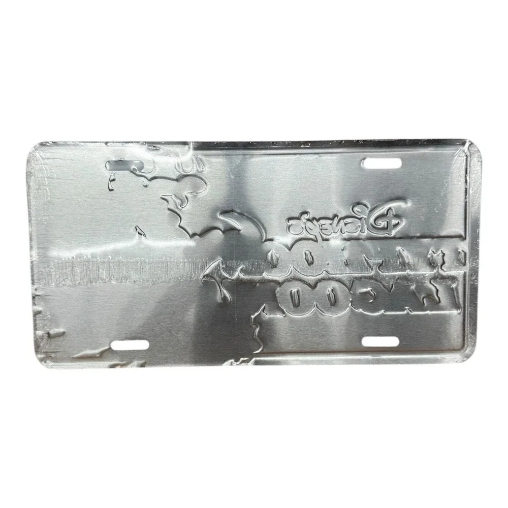 Disney's Typhoon Lagoon‎ Metal License Plate Sealed